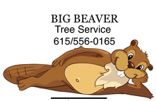 Avatar for Big Beaver Tree Service