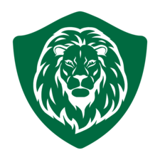 Avatar for Lion Home Services, Inc.