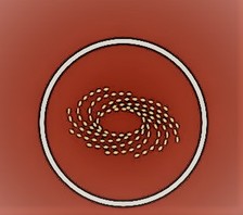 Avatar for Aurora Roofing Company