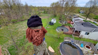 Treebeard Arborists logo