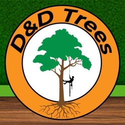 D & D Trees logo