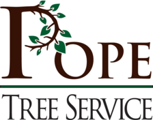 Logo for Pope Tree Service