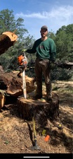 Fire Safe Tree & Brush Removal logo