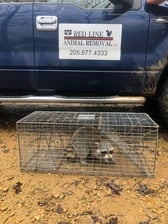 Logo for Red Line Animal Removal