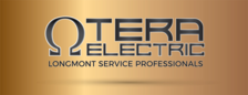 Avatar for Tera Electric - Poetna  Facebook