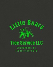 Avatar for Little Bears Tree Service LLC - Facebook