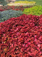 Avatar for Groundcare Landscape, LLC