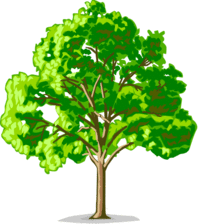 Avatar for Good Choice X-Pert Tree Service
