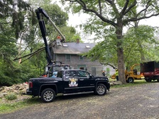 E&A Tree Removal & Landscaping logo