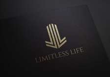 Avatar for Limitless Handyman