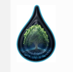 Furst Choice Irrigation logo