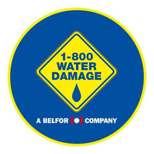 Avatar for 1-800 Water Damage Twin Cities South Metro