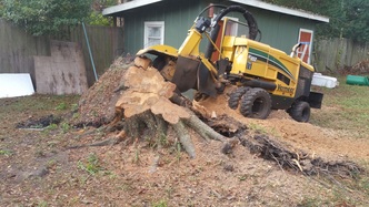 Robert's Stump Grinding, Inc. logo