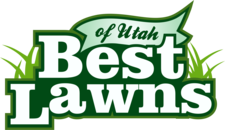 Avatar for Best Lawns of Utah