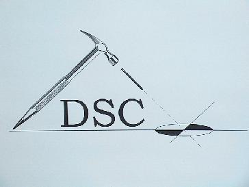 Dynamic Solutions Construction, LLC logo