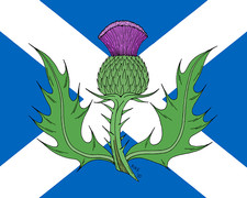 Avatar for Highlander Handy