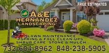 A&E Hernandez Landscaping logo