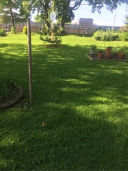 Rodriguez Lawn Service logo