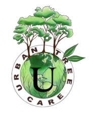 Urban Tree Care logo