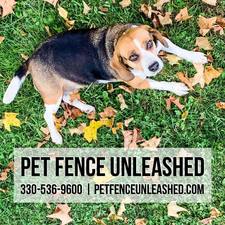 Avatar for Pet Fence Unleashed, LLC