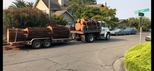 Diamond Tree Service - Home  Facebook logo
