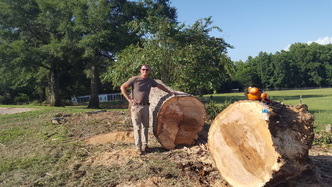 Griffin Tree & Land Services, LLC logo