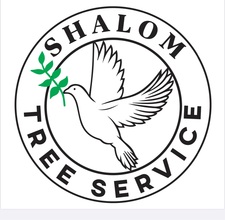 Avatar for Shalom Tree Service