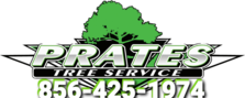 Prate's Tree Service - Home Facebook logo