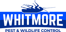 Avatar for Whitmore Pest & Wildlife Control