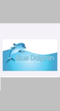 Blue Dolphin Restoration logo