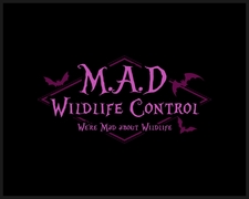 Avatar for M.A.D. Wildlife Control