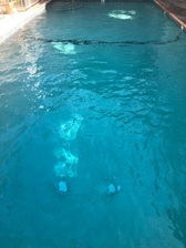 Logo for Clean Pools Los Angeles