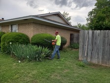 Avatar for Big Lems Lawns and Limbs