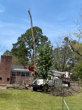 Avatar for Kay's Tree Service and Pressure Washing, LLC