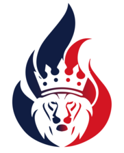 Climate Kings Heating & AC, LLC logo