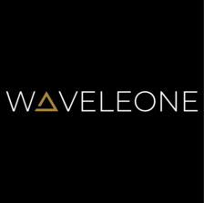 Avatar for Waveleone Construction, LLC