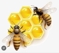Avatar for Honey Appliance Repair
