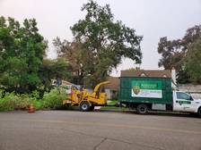 Logo for Sequoias Tree Service