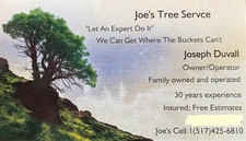 Logo for Joe's Tree Services