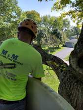 M&M Landscaping and Tree Services logo
