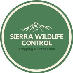 Sierra Wildlife Control, LLC logo