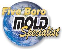 Five Boro Mold Specialist, Inc. logo
