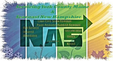 Logo for NAS