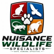 Avatar for Nuisance Wild Life Specialist