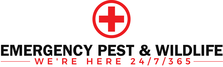 Avatar for Emergency Pest and Wildlife LLC