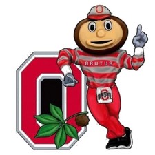 Buckeye Handyman Services logo