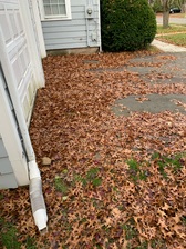 Derrex Landscaping logo