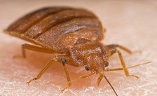 Avatar for Target Pest Solutions, LLC