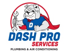Dash Pro Services, Inc. logo