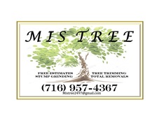 Avatar for Mis Tree Services